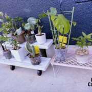 ヒメ日記 2025/06/04 21:00 投稿 平野 熟女待機所 厚木店