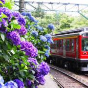 ヒメ日記 2025/06/08 15:00 投稿 平野 熟女待機所 厚木店