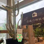 ヒメ日記 2025/06/11 21:50 投稿 平野 熟女待機所 厚木店