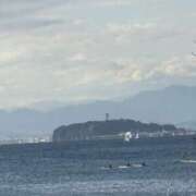 ヒメ日記 2025/06/19 14:50 投稿 平野 熟女待機所 厚木店