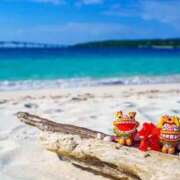 ヒメ日記 2025/06/19 17:30 投稿 平野 熟女待機所 厚木店