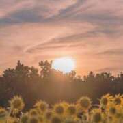 ヒメ日記 2025/07/01 20:50 投稿 平野 熟女待機所 厚木店