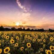 ヒメ日記 2025/07/02 20:50 投稿 平野 熟女待機所 厚木店