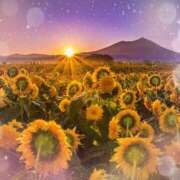 ヒメ日記 2025/07/03 22:45 投稿 平野 熟女待機所 厚木店