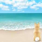 ヒメ日記 2025/07/04 10:30 投稿 平野 熟女待機所 厚木店