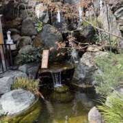 ヒメ日記 2025/07/09 17:00 投稿 平野 熟女待機所 厚木店