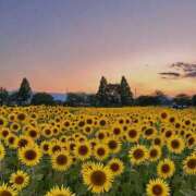 ヒメ日記 2025/08/13 22:50 投稿 平野 熟女待機所 厚木店