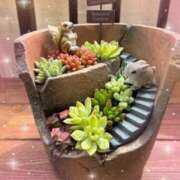 ヒメ日記 2025/09/09 12:26 投稿 平野 熟女待機所 厚木店