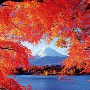 ヒメ日記 2025/09/10 20:06 投稿 平野 熟女待機所 厚木店