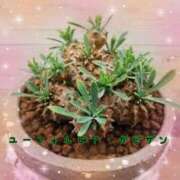 ヒメ日記 2025/09/14 22:26 投稿 平野 熟女待機所 厚木店