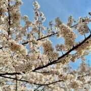 ヒメ日記 2025/04/08 19:59 投稿 りな 池袋人妻アデージョ