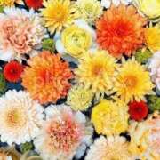 ヒメ日記 2025/05/28 11:19 投稿 りな 池袋人妻アデージョ