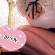 ヒメ日記 2025/04/15 14:20 投稿 みずほ チューリップ姫路店