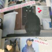 ヒメ日記 2025/03/09 16:38 投稿 かりん 排泄マニア