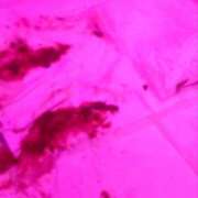 ヒメ日記 2025/05/29 12:07 投稿 かりん 排泄マニア