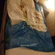 ヒメ日記 2025/06/03 01:41 投稿 かりん 排泄マニア