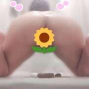 ヒメ日記 2025/07/30 13:11 投稿 かりん 排泄マニア