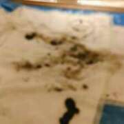 ヒメ日記 2025/09/17 15:39 投稿 かりん 排泄マニア