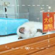 ヒメ日記 2025/09/21 17:59 投稿 かりん 排泄マニア