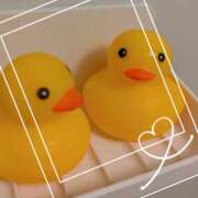 ヒメ日記 2025/10/09 07:36 投稿 かりん 排泄マニア