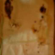 ヒメ日記 2025/10/24 13:48 投稿 かりん 排泄マニア