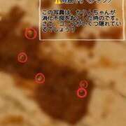 ヒメ日記 2025/10/30 07:37 投稿 かりん 排泄マニア