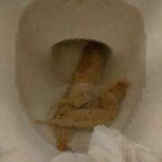 ヒメ日記 2025/12/09 12:57 投稿 かりん 排泄マニア