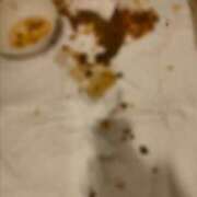 ヒメ日記 2026/01/04 00:06 投稿 かりん 排泄マニア