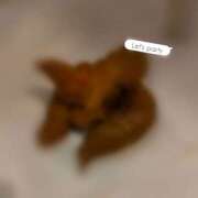 ヒメ日記 2026/01/08 12:50 投稿 かりん 排泄マニア