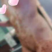 ヒメ日記 2026/02/09 07:02 投稿 かりん 排泄マニア