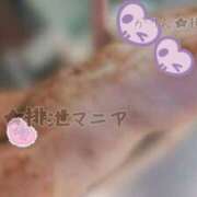 ヒメ日記 2026/02/22 16:11 投稿 かりん 排泄マニア