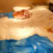 ヒメ日記 2026/04/20 09:16 投稿 かりん 排泄マニア