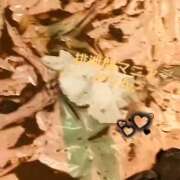 ヒメ日記 2026/09/20 10:22 投稿 かりん 排泄マニア