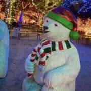 ヒメ日記 2025/12/21 21:48 投稿 西条ゆずき The ROYAL CLASS