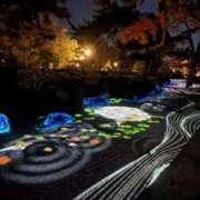 ヒメ日記 2026/01/19 21:59 投稿 西条ゆずき The ROYAL CLASS