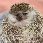 ヒメ日記 2026/02/11 22:03 投稿 西条ゆずき The ROYAL CLASS