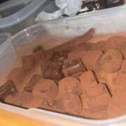 ヒメ日記 2026/02/20 20:43 投稿 西条ゆずき The ROYAL CLASS