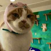 ヒメ日記 2026/02/24 20:46 投稿 西条ゆずき The ROYAL CLASS