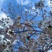 ヒメ日記 2026/04/06 20:54 投稿 西条ゆずき The ROYAL CLASS