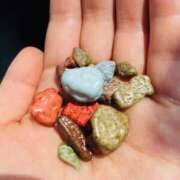 ヒメ日記 2026/04/16 21:12 投稿 西条ゆずき The ROYAL CLASS