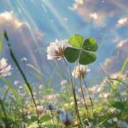 ヒメ日記 2026/04/19 20:56 投稿 西条ゆずき The ROYAL CLASS