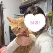 ヒメ日記 2024/12/26 19:19 投稿 なえ いっぱい舐められたいです L＆Jブラザーズ