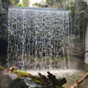 ヒメ日記 2024/12/24 06:00 投稿 りな ぷるるん小町日本橋店