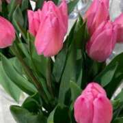 ヒメ日記 2025/02/16 09:30 投稿 りな ぷるるん小町日本橋店