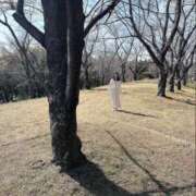 ヒメ日記 2025/03/14 05:00 投稿 りな ぷるるん小町日本橋店