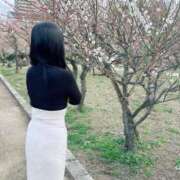 ヒメ日記 2025/03/22 08:01 投稿 りな ぷるるん小町日本橋店