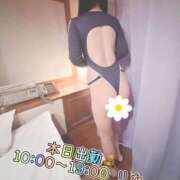 ヒメ日記 2025/06/05 05:00 投稿 りな ぷるるん小町日本橋店