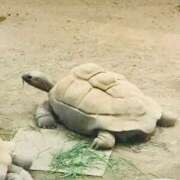 ヒメ日記 2025/06/08 09:37 投稿 りな ぷるるん小町日本橋店