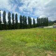 ヒメ日記 2025/08/05 22:24 投稿 りな ぷるるん小町日本橋店