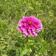 ヒメ日記 2025/08/05 22:28 投稿 りな ぷるるん小町日本橋店